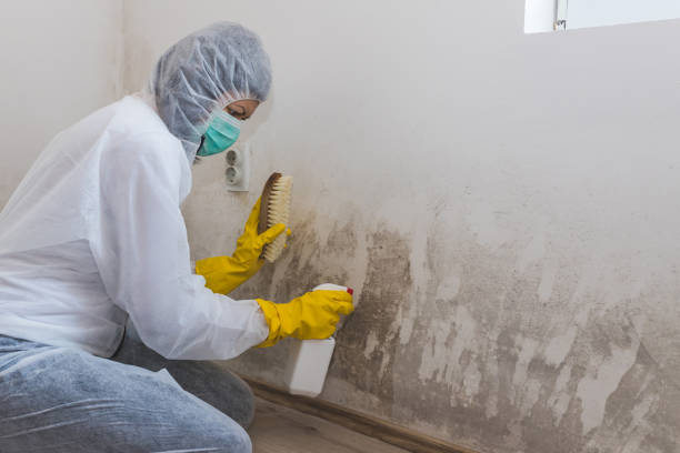 Best Bathroom Mold Remediation in Gorman, TX